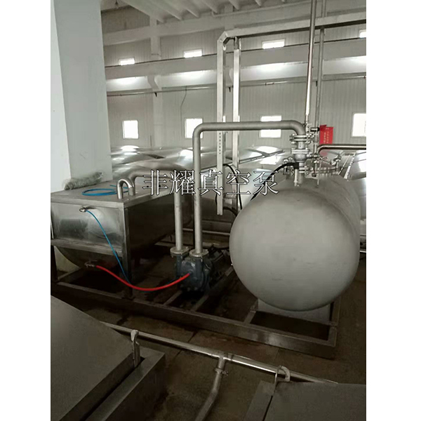 2BV水環(huán)真空泵