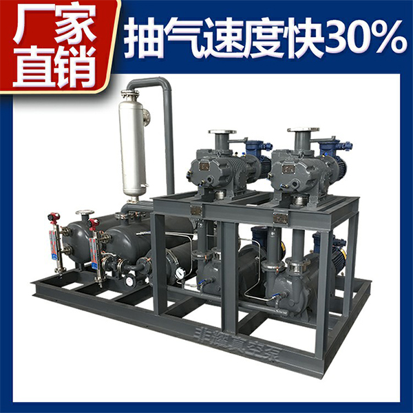 羅茨水環(huán)真空泵機組
