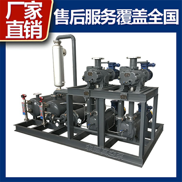 羅茨水環(huán)真空泵機(jī)組