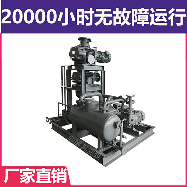 羅茨水環(huán)真空泵機組