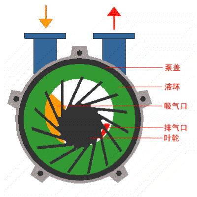 水環(huán)真空泵動態(tài)圖